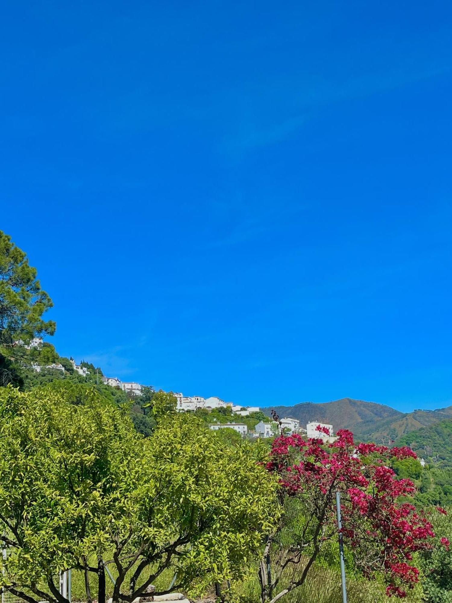 Finca Rural Mazuqueto Jubrique Екстериор снимка